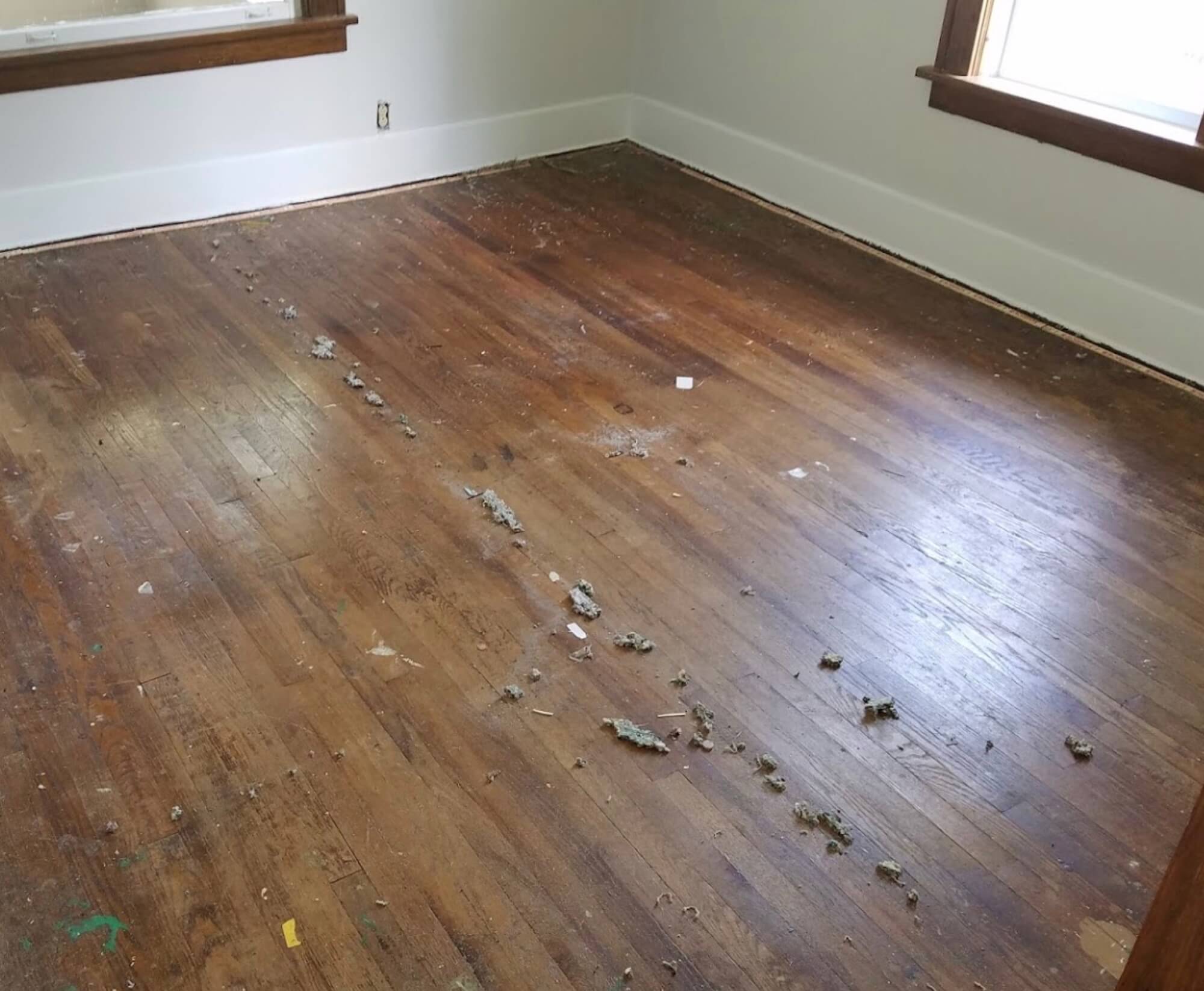 dusty hardwood floor